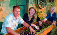 Richard, Sarah and son sorting olives